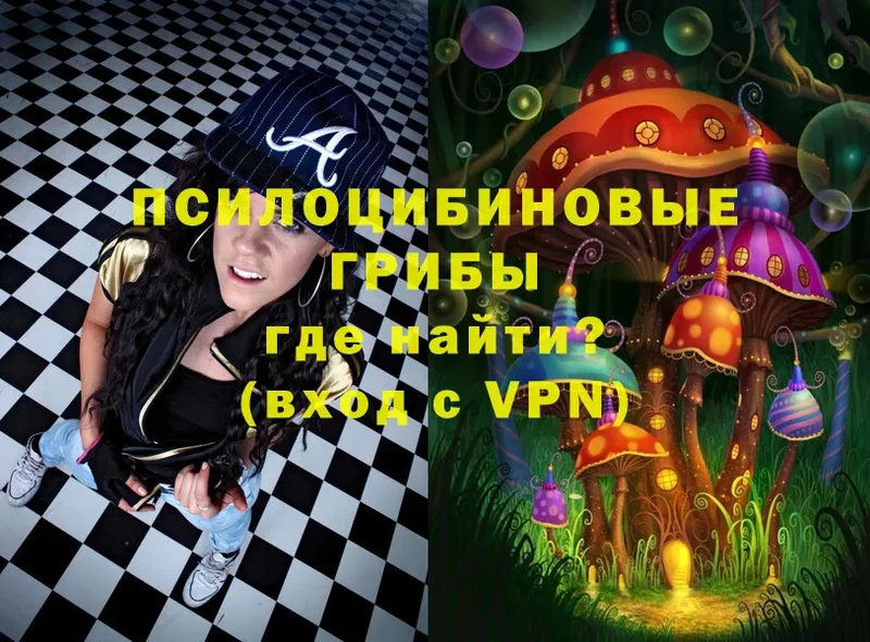 Псилоцибиновые грибы Psilocybe  mega онион  Усолье-Сибирское  где продают  